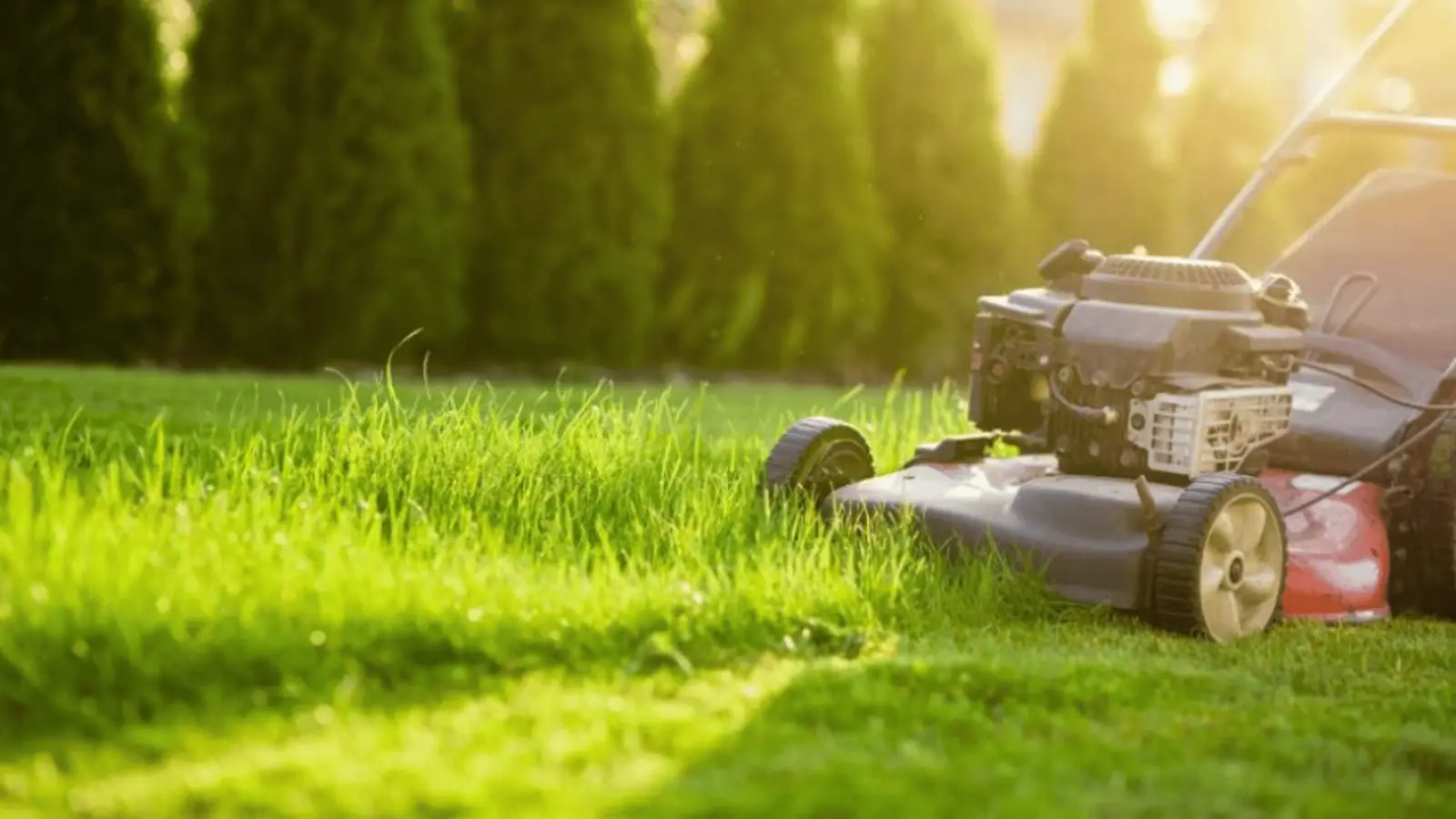MDA Services — lawn care in Menangle